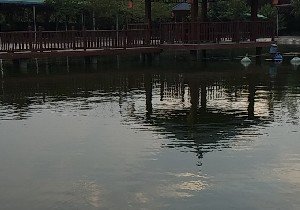 金三角生态园