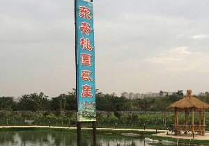 东安桃园农庄