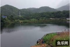 冷水垌鱼塘