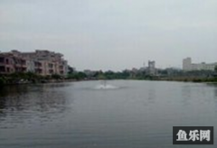 肥仔钓鱼场