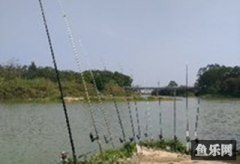 北河