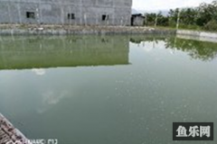绿馨农场