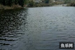 石夹夹水库