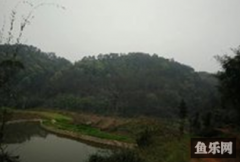 石龙村钓鱼场