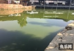 生态鱼钓场