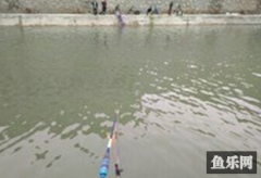 漁乐圈