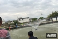 征程钓场