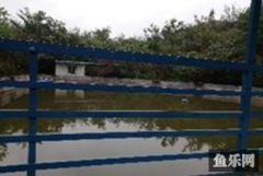 洛泽河钓场
