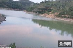 路马黑野钓园