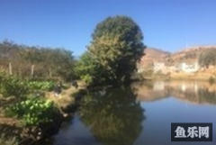 水井村钓场