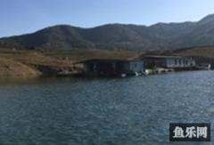 竹山县上庸镇小刘钓场