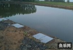 大自然垂钓园