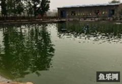 渔家傲休闲垂钓园