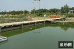 兄弟钓场