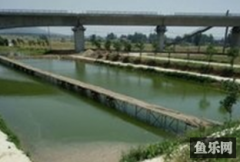 杨岗垂钓园