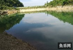 良里湾钓场
