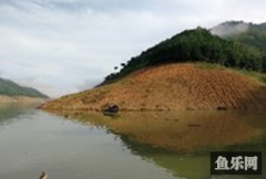 万峰湖野钓集中营
