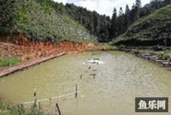 古龙坳垂钓场