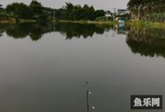 大岭钓场