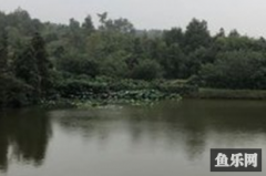 大宝垂钓园