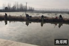 坤哥钓场