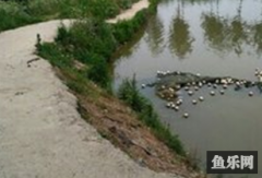 灰古生态垂钓园