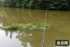 农村鱼塘