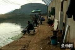 深蓝四季钓场