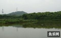 江夏区三江源生态农场
