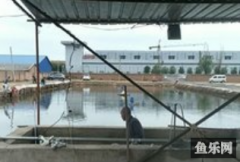 北格爆连垂钓园