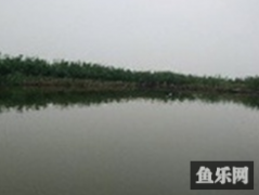 沙东钓场
