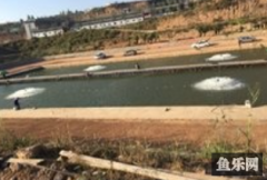 龙腾门钓场