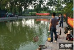 旺丰垂钓园