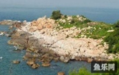 外岛竹栖肚湾船钓