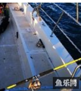游艇海钓