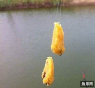 正确认识台钓饵料及开饵常见问题